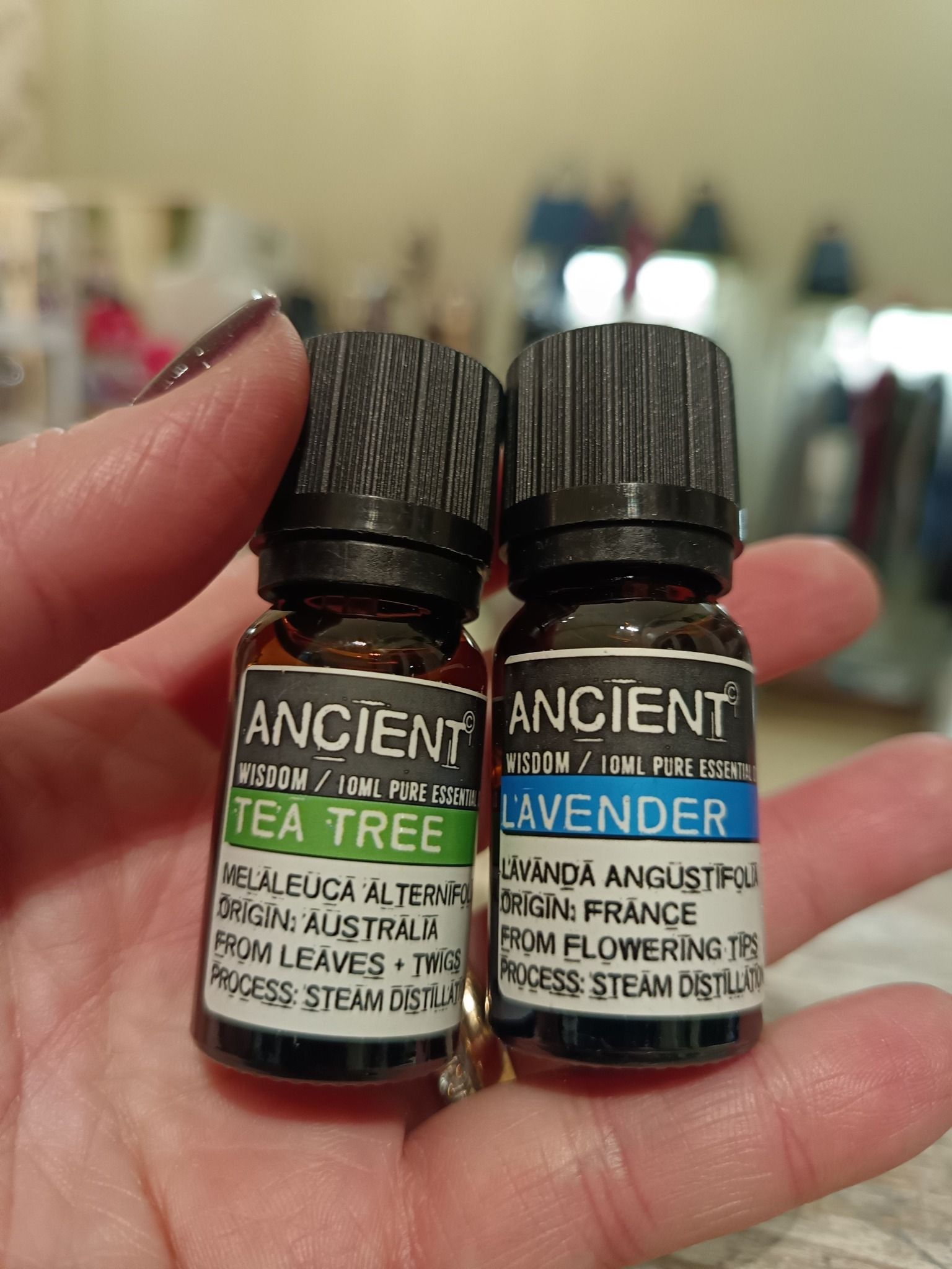 Persona che tiene in mano due piccole bottiglie ambrate di oli essenziali: Tea Tree (etichetta verde) e Lavanda (etichetta blu).