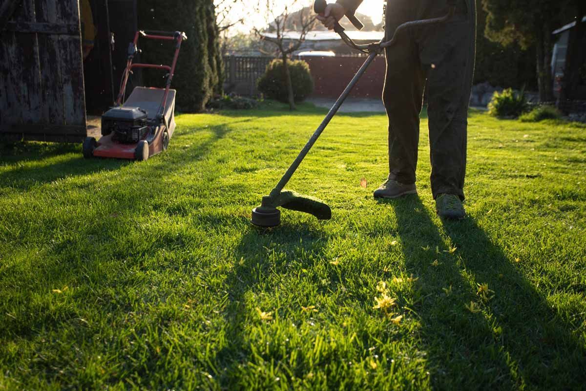 A man is cutting grass with a lawn mower in the background.