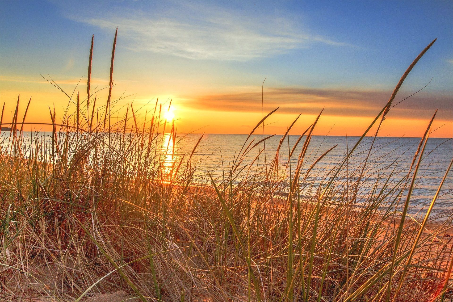 Tall silhouetted beach grass sways in the foreground as the sun sets over calm ocean water under a warm orange sky fading into blue.