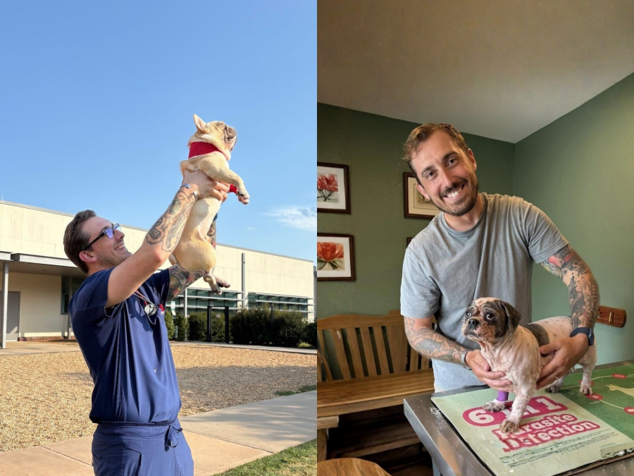 Person lifting small dog outdoors; person smiling with dog on table indoors