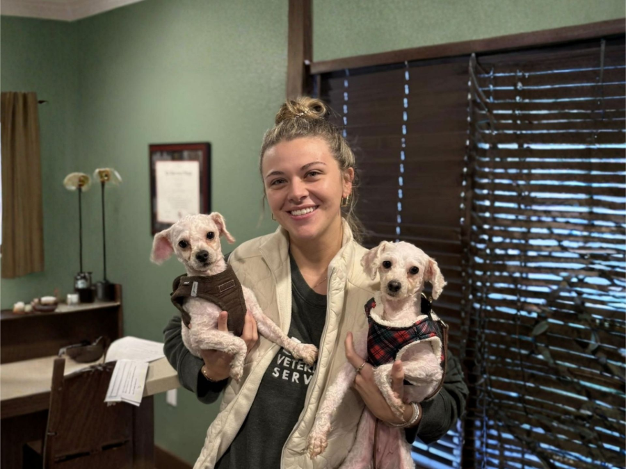 Woman holding two small dogs in a room with green walls and window blinds