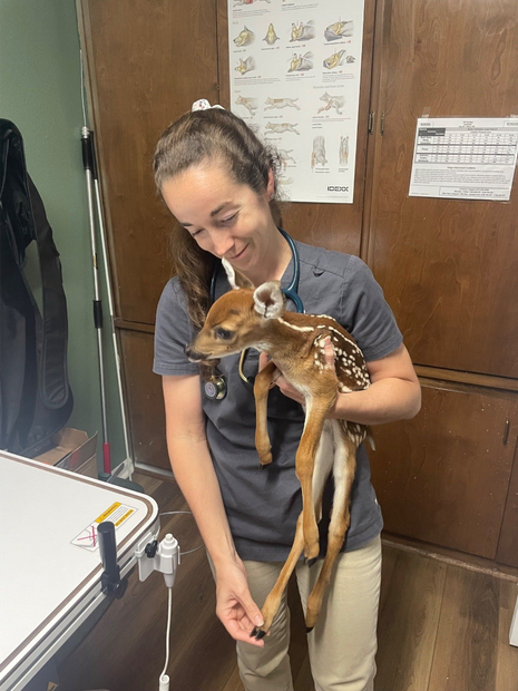 Woman holding a small deer-like animal indoors near a desk and wooden door.