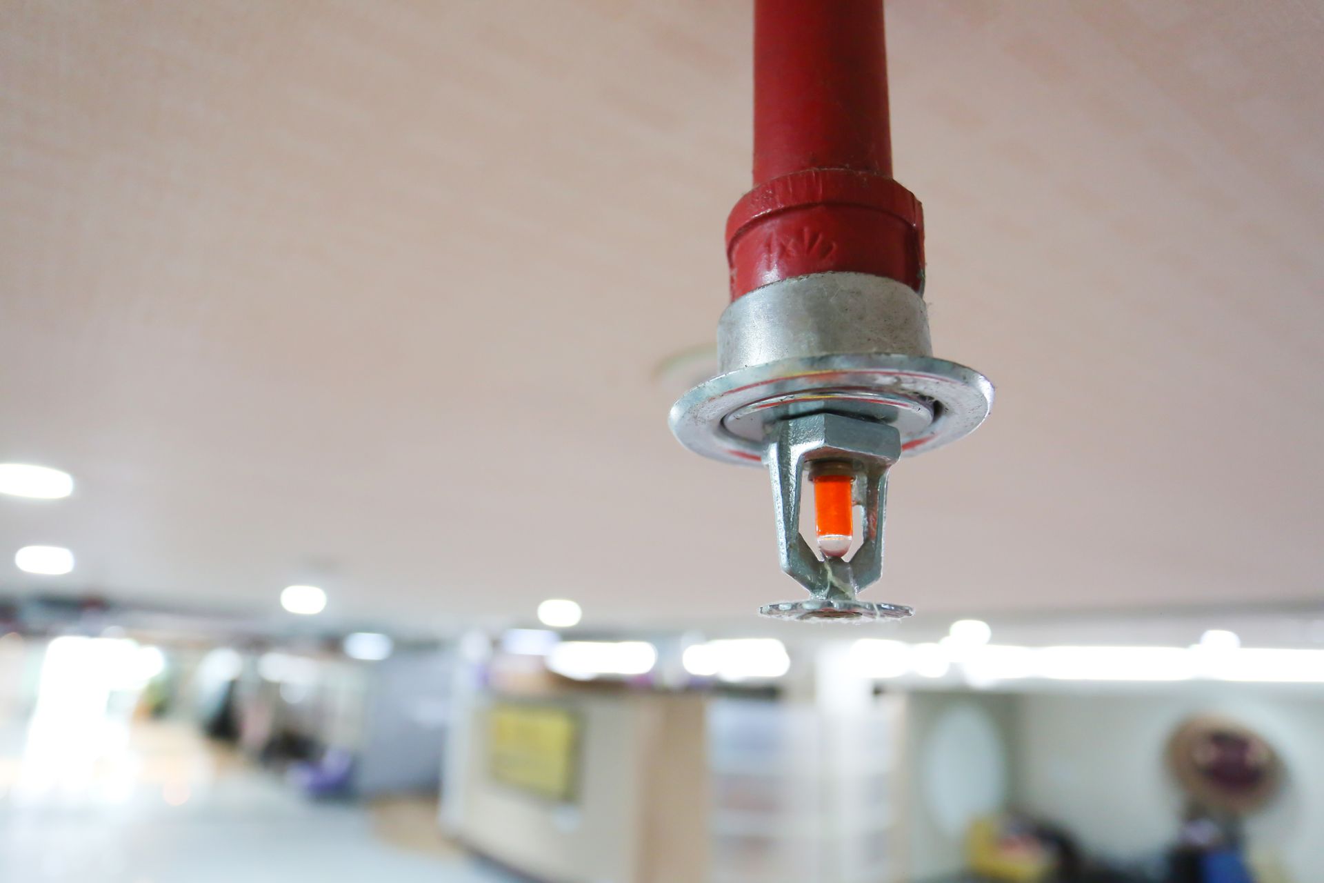 Red fire sprinkler head mounted on a white ceiling in a blurred indoor space