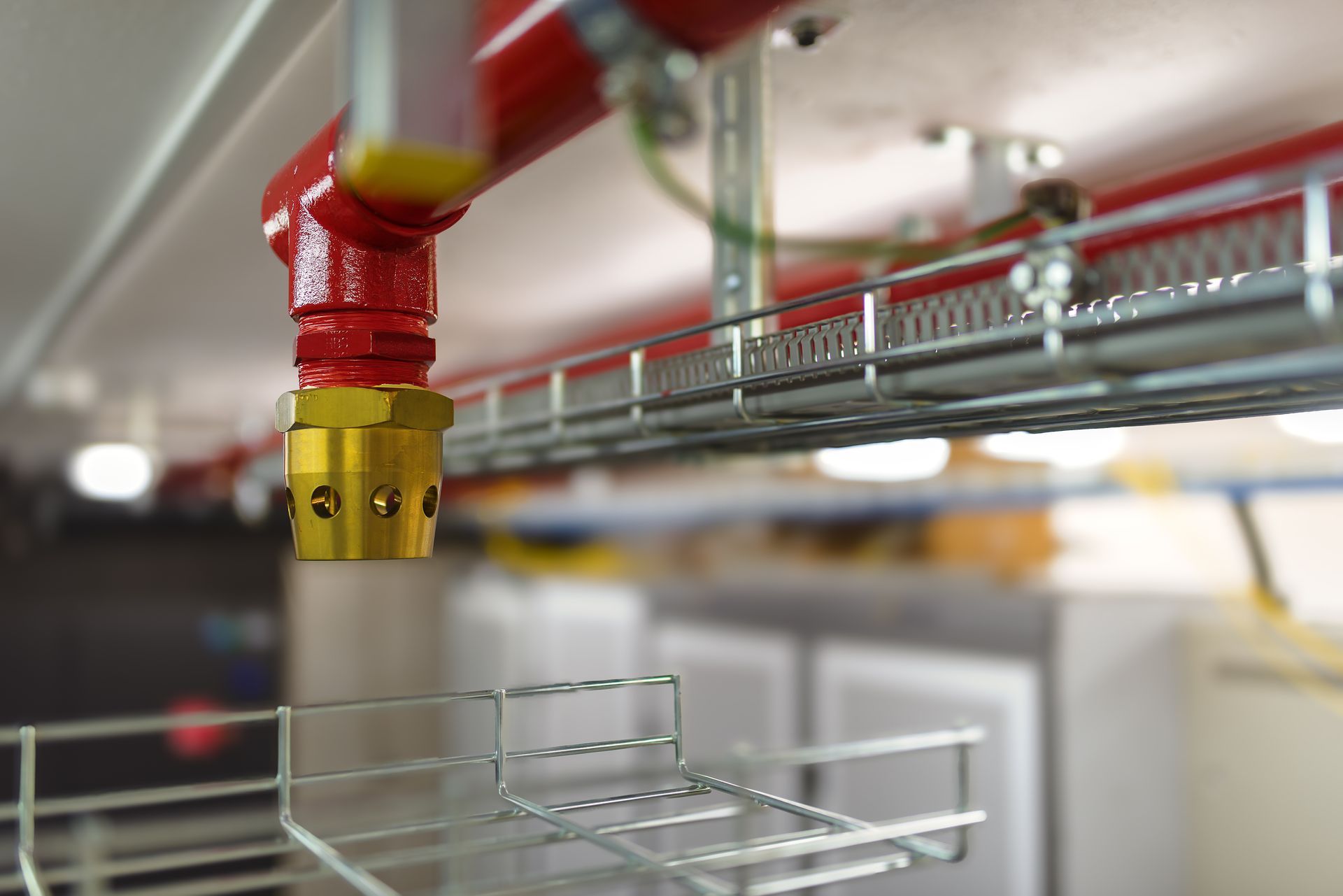 Red fire sprinkler pipe above a wire shelf in an industrial room Red fire sprinkler pipe above a wire shelf in an industrial room