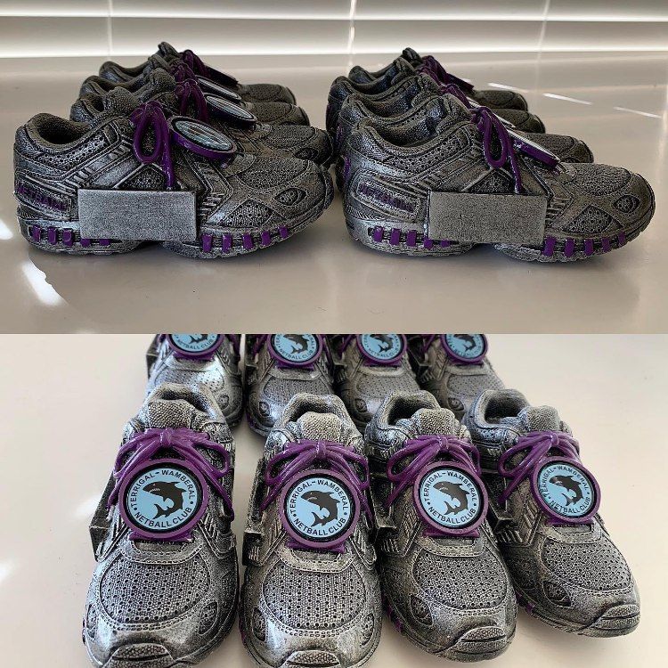 A Pair of Silver Shoes with Purple Laces and A Blue Circle with A Shark on It — Framing Alternative in Erina Heights, NSW