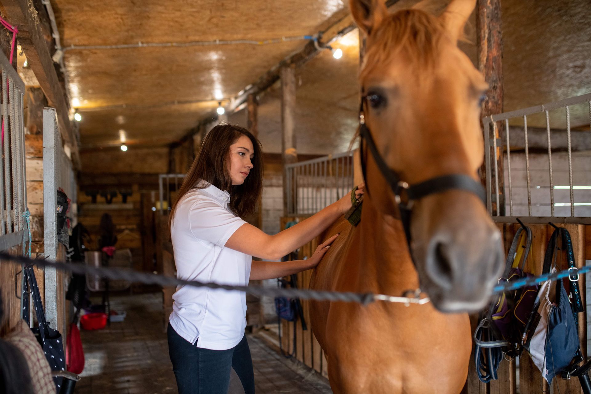 A woman is standing next to a brown horse in a stable.