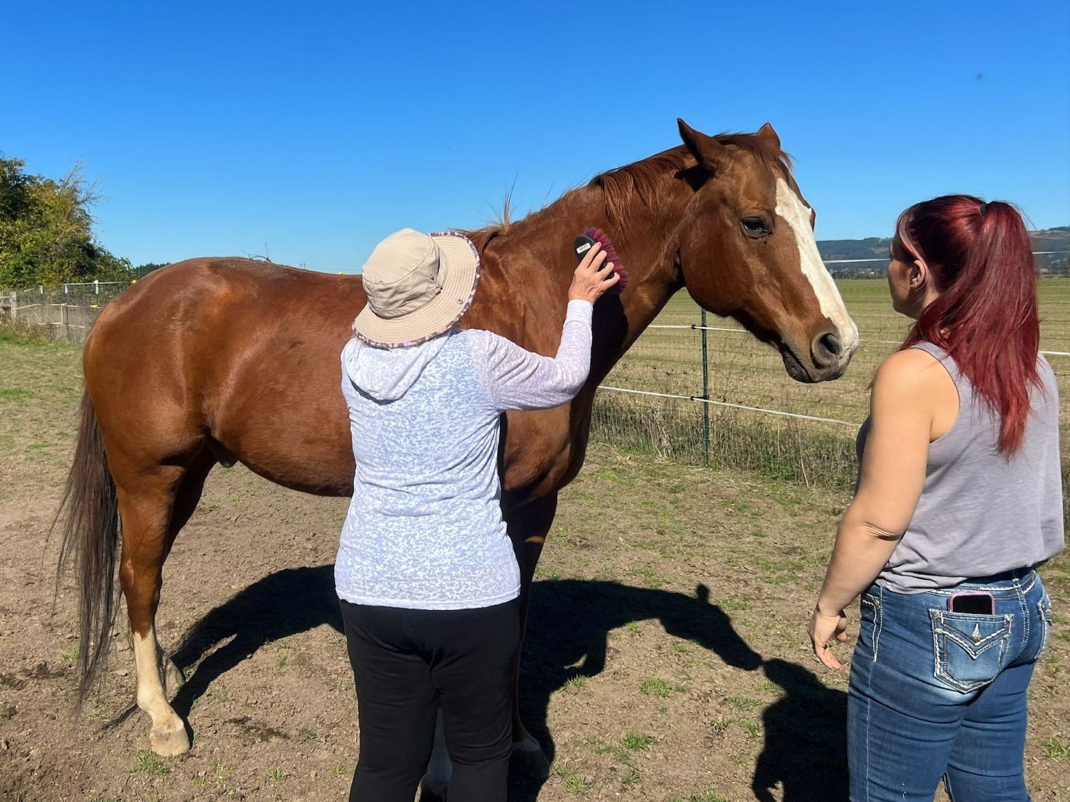 Equine Therapy in Lyons