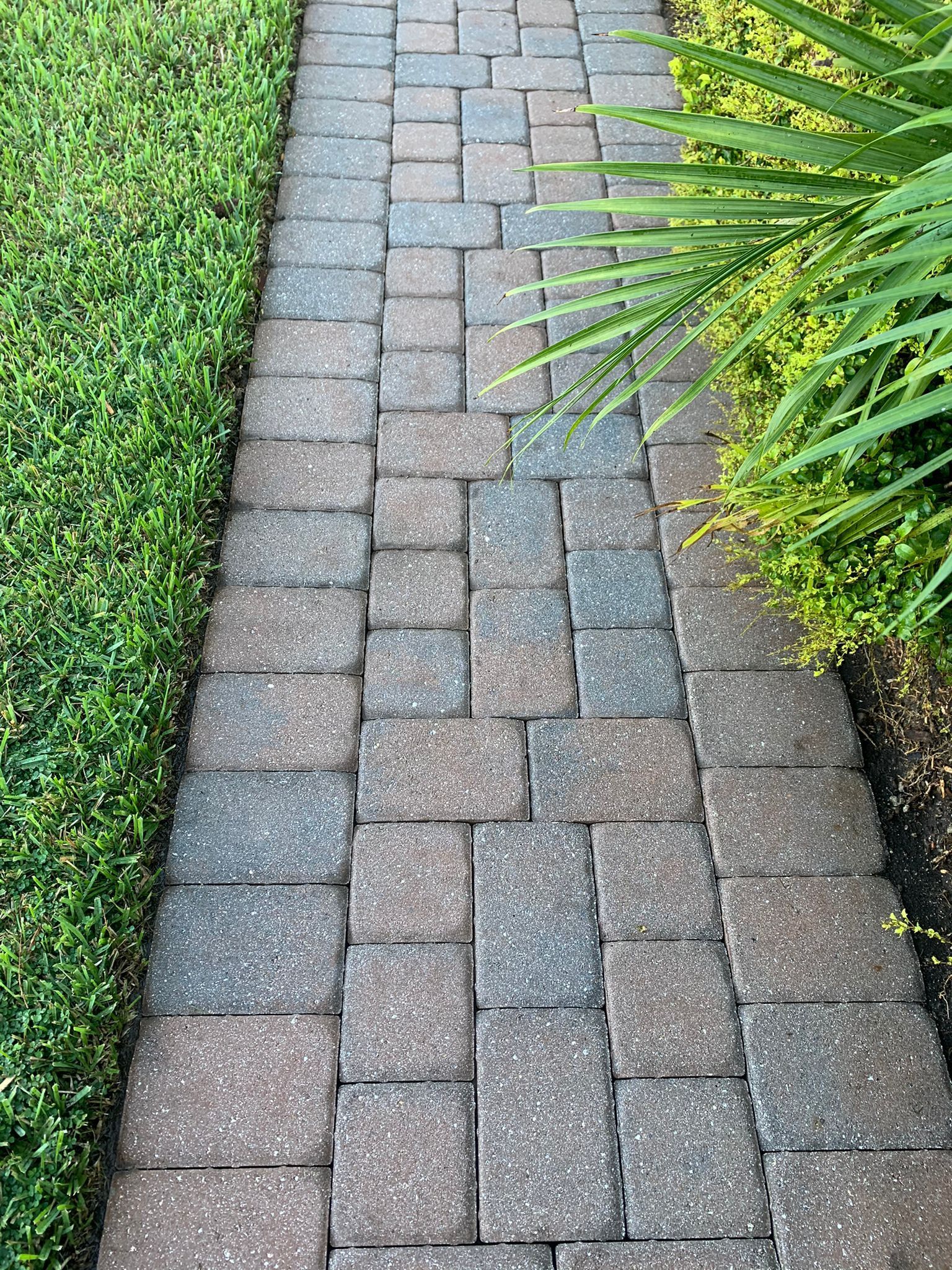 Narrow brick walkway bordered by green grass and plants on both sides.