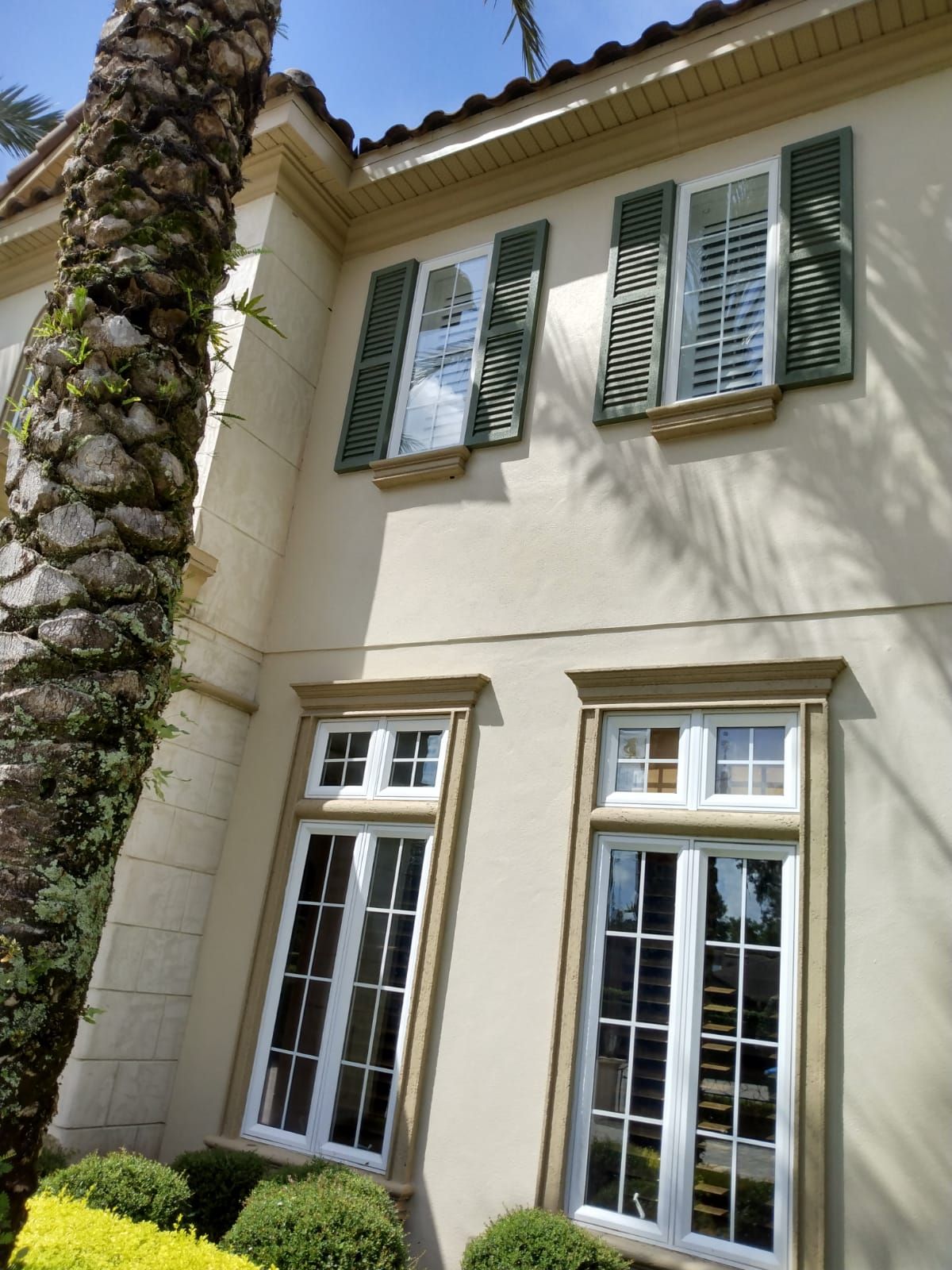 Cream-colored house facade with tall windows, green shutters, and a palm tree at the left side
