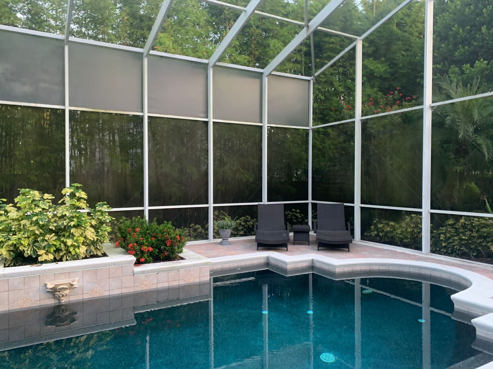 Screened backyard pool with blue water, stone coping, and lounge chairs beside potted plants