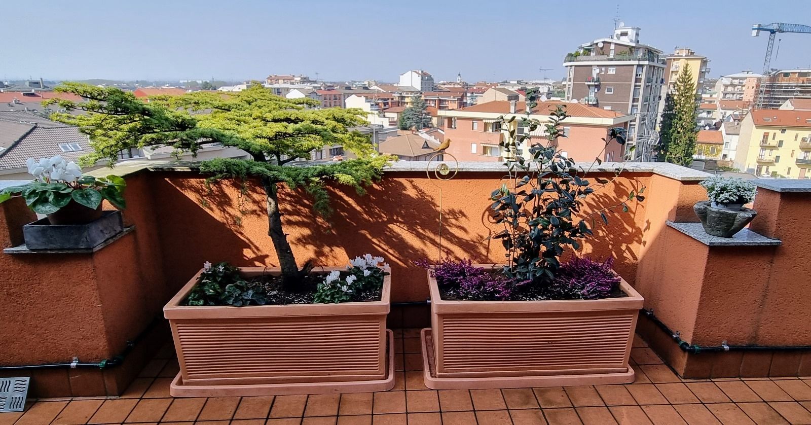 vasi terrazzo