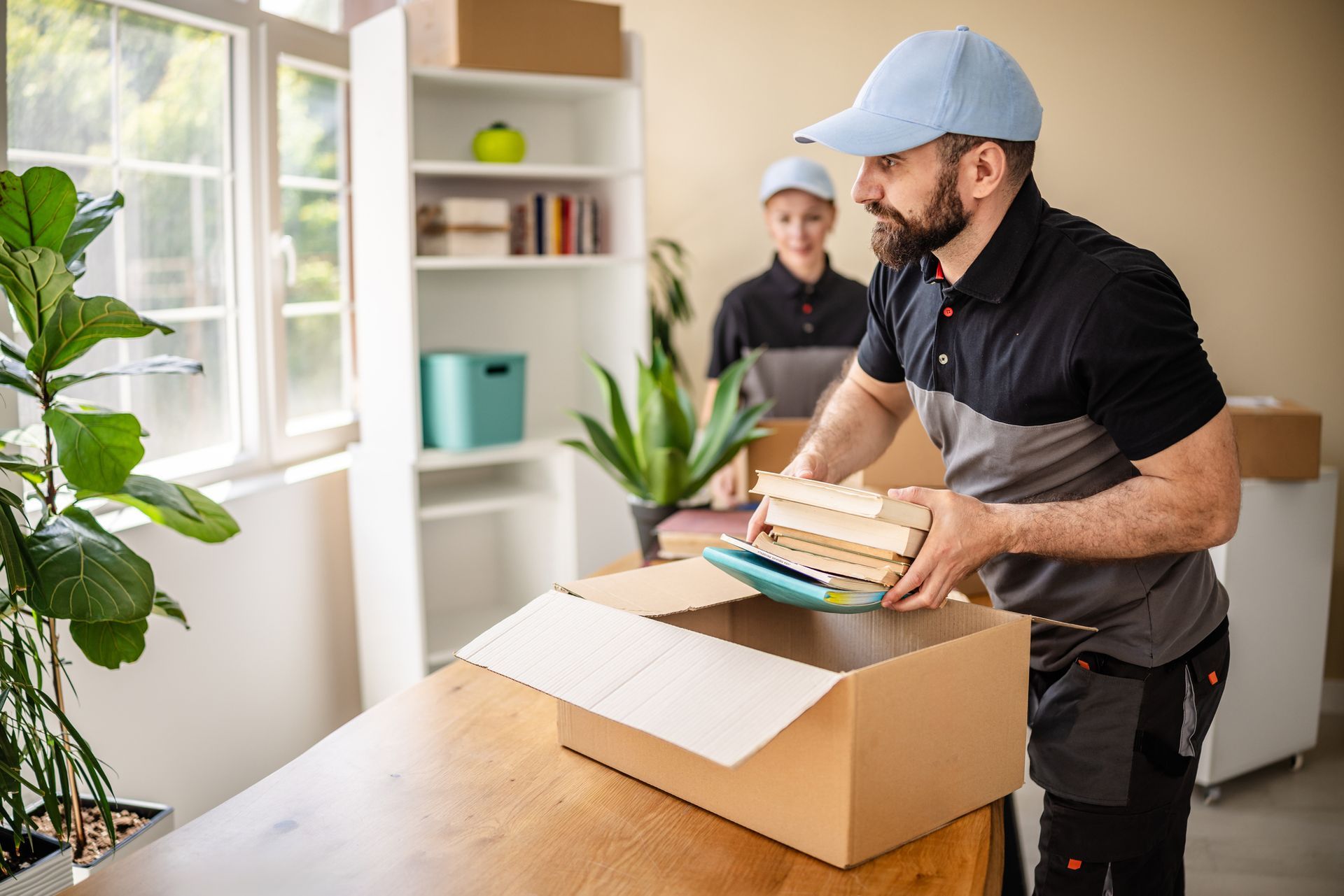 Movers packing books into a box in a room with a large window and houseplant.