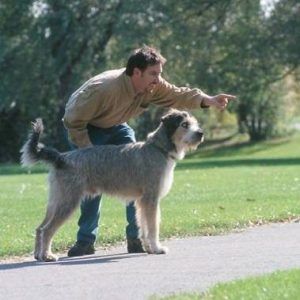 Man points ahead while standing beside a large gray dog on a park path