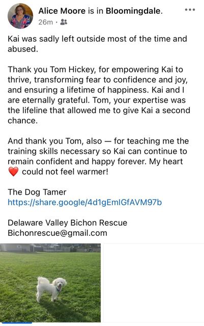 Facebook post announcing Kai the dog’s death, with a small white dog photo and memorial message.
