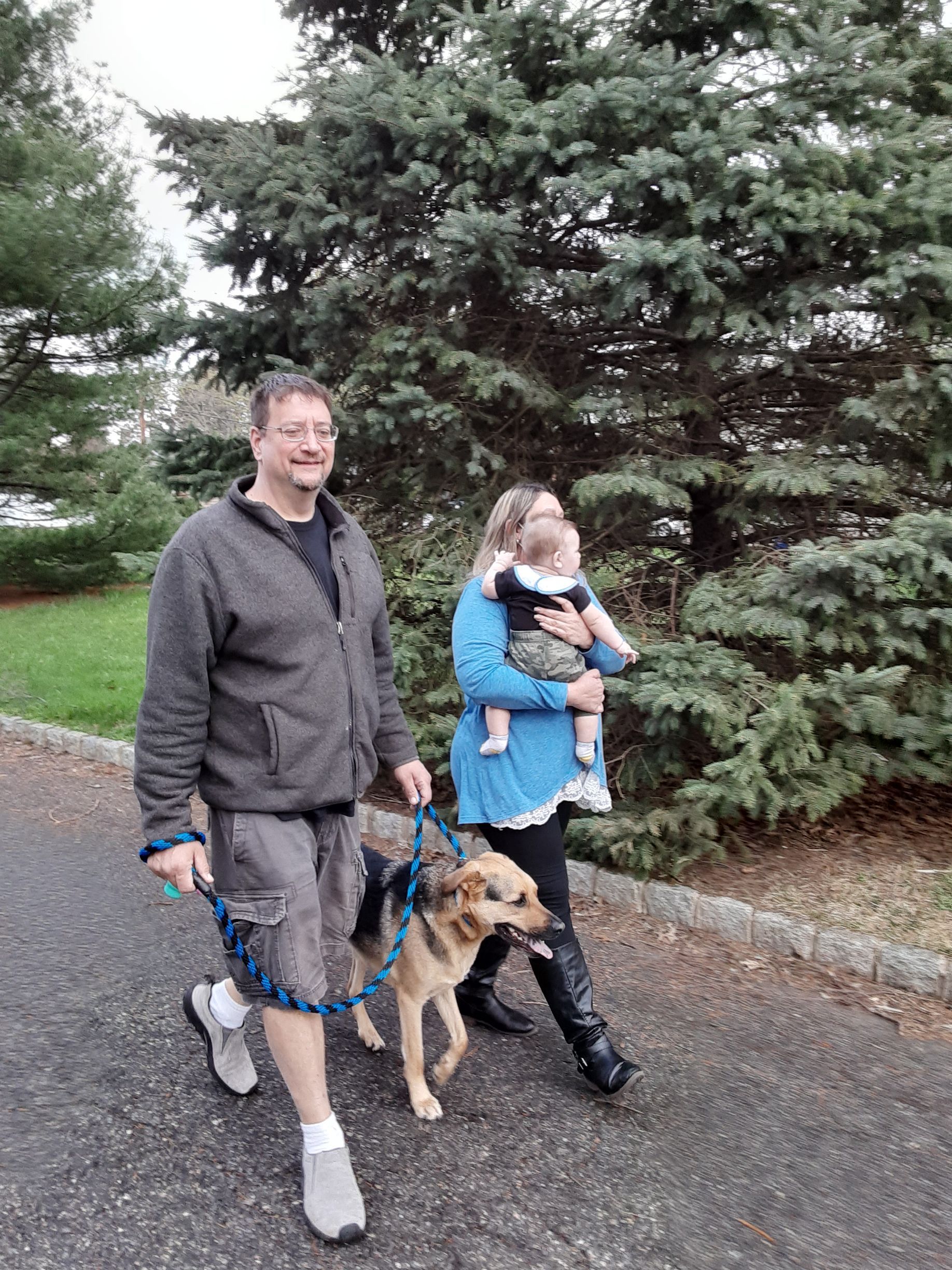 Two adults walk a dog in a park beside a large evergreen tree.