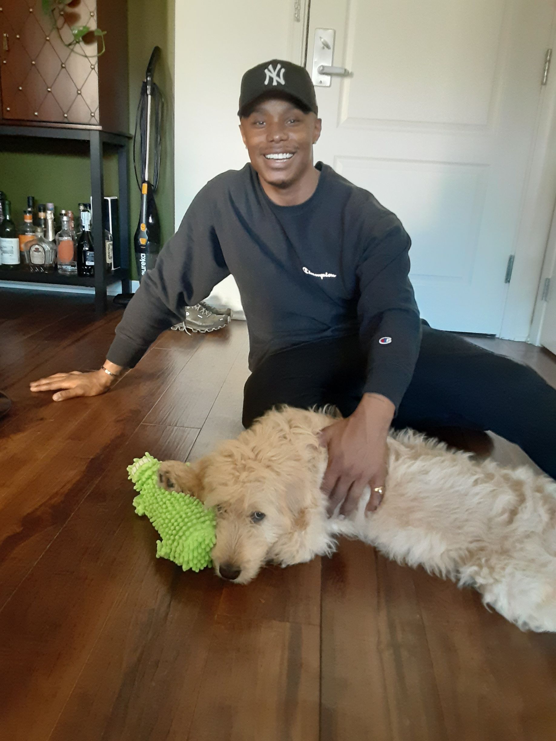 Person sitting on a wooden floor with a large fluffy dog playing with a green toy.