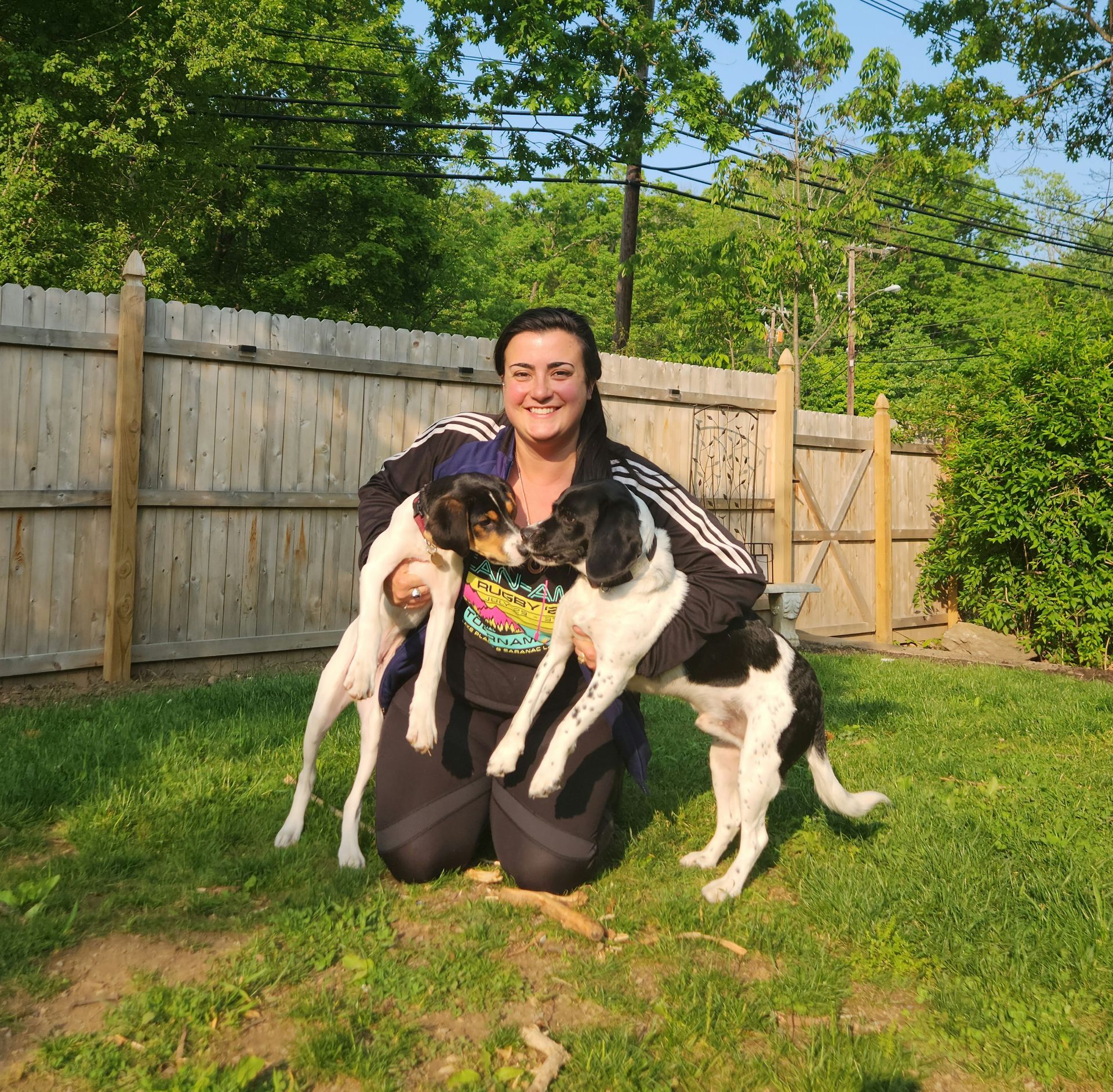 Smiling person kneels in a sunny backyard, holding two black-and-white dogs in front of a wooden fence