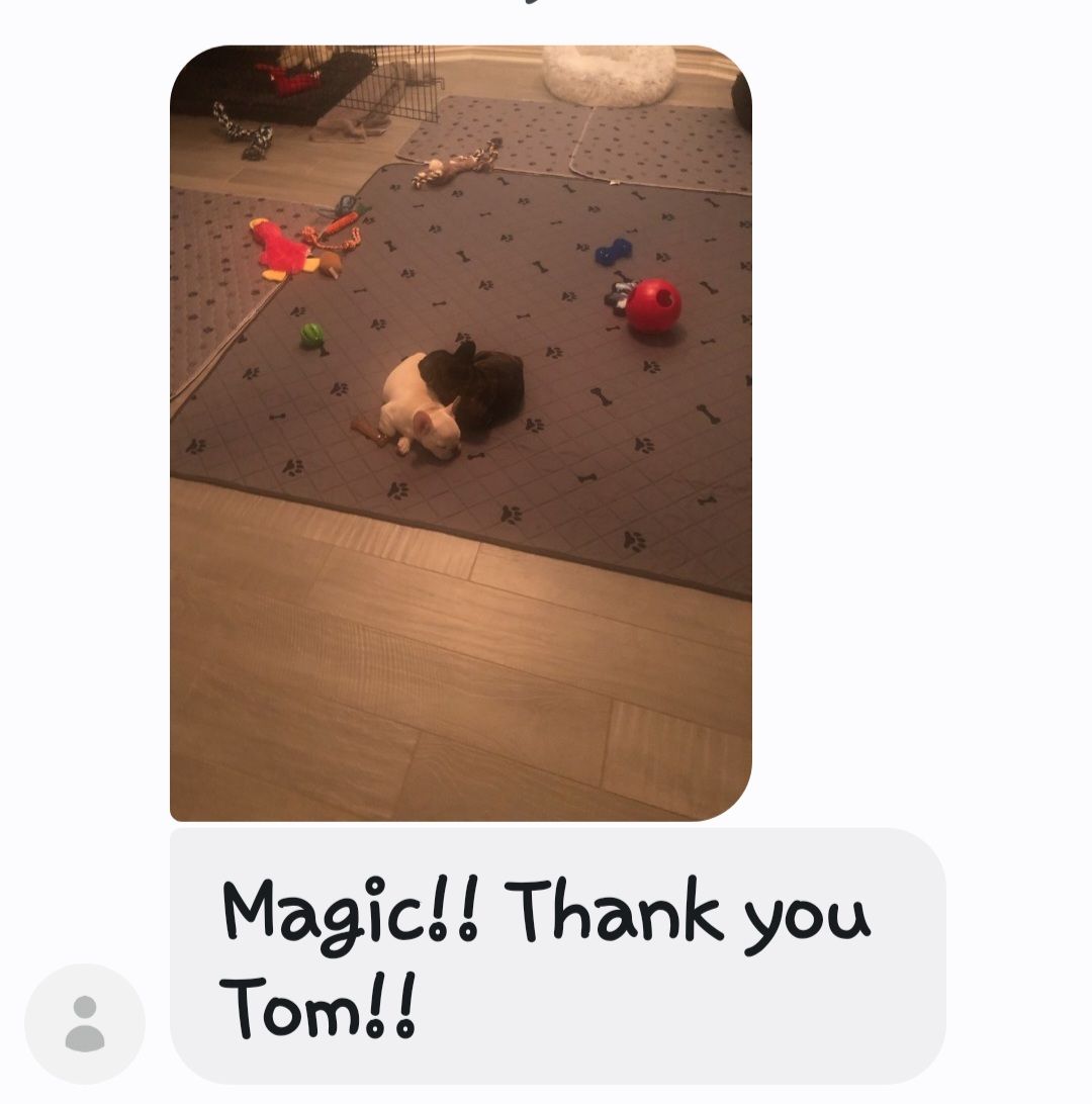 Toys scattered on a rug; message bubble says, “Magic!! Thank you Tom!!”