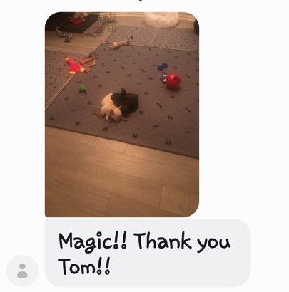 Toys scattered on a rug; message bubble says, “Magic!! Thank you Tom!!”