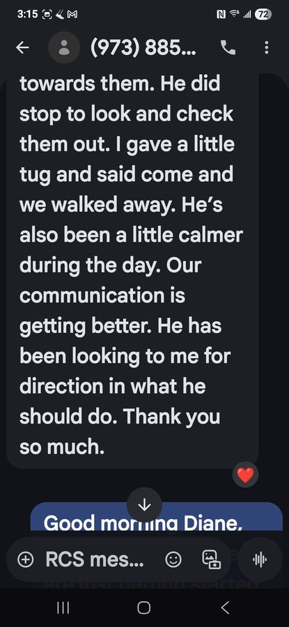 Phone screenshot of a text about ending contact and needing direction, with reply starting “Good morning Dian.”