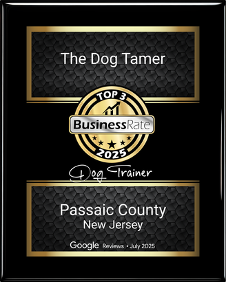 The Dog Tamer Business Rate Top 3 2025 award plaque for Passaic County, New Jersey