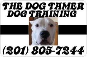 Dog training ad with a dog photo, black stripes, and phone number (201) 805-7244