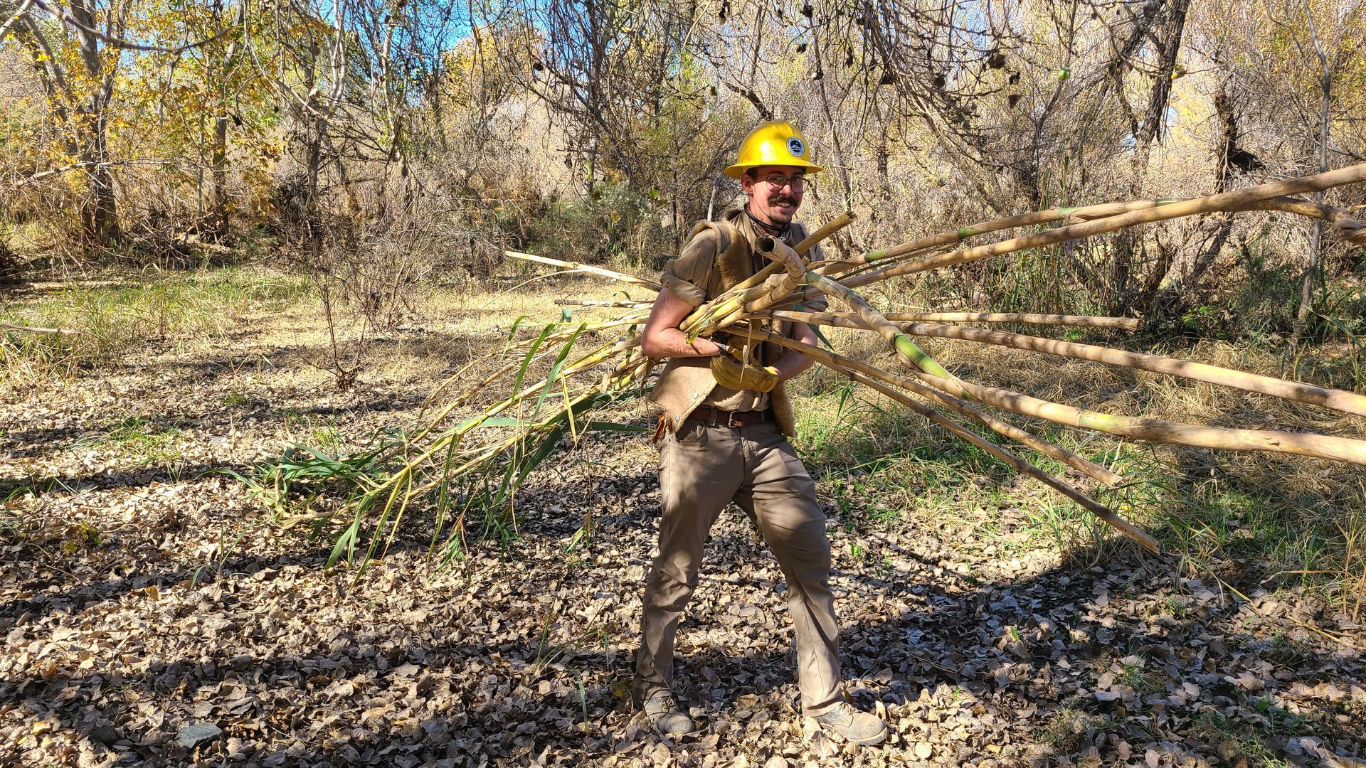 Friends of the Verde restoration project