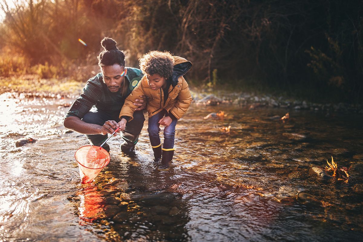 Father and son fishing in the summer