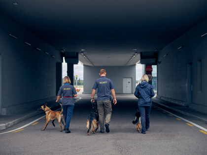 Three people with two dogs walk through a dark underpass toward daylight.