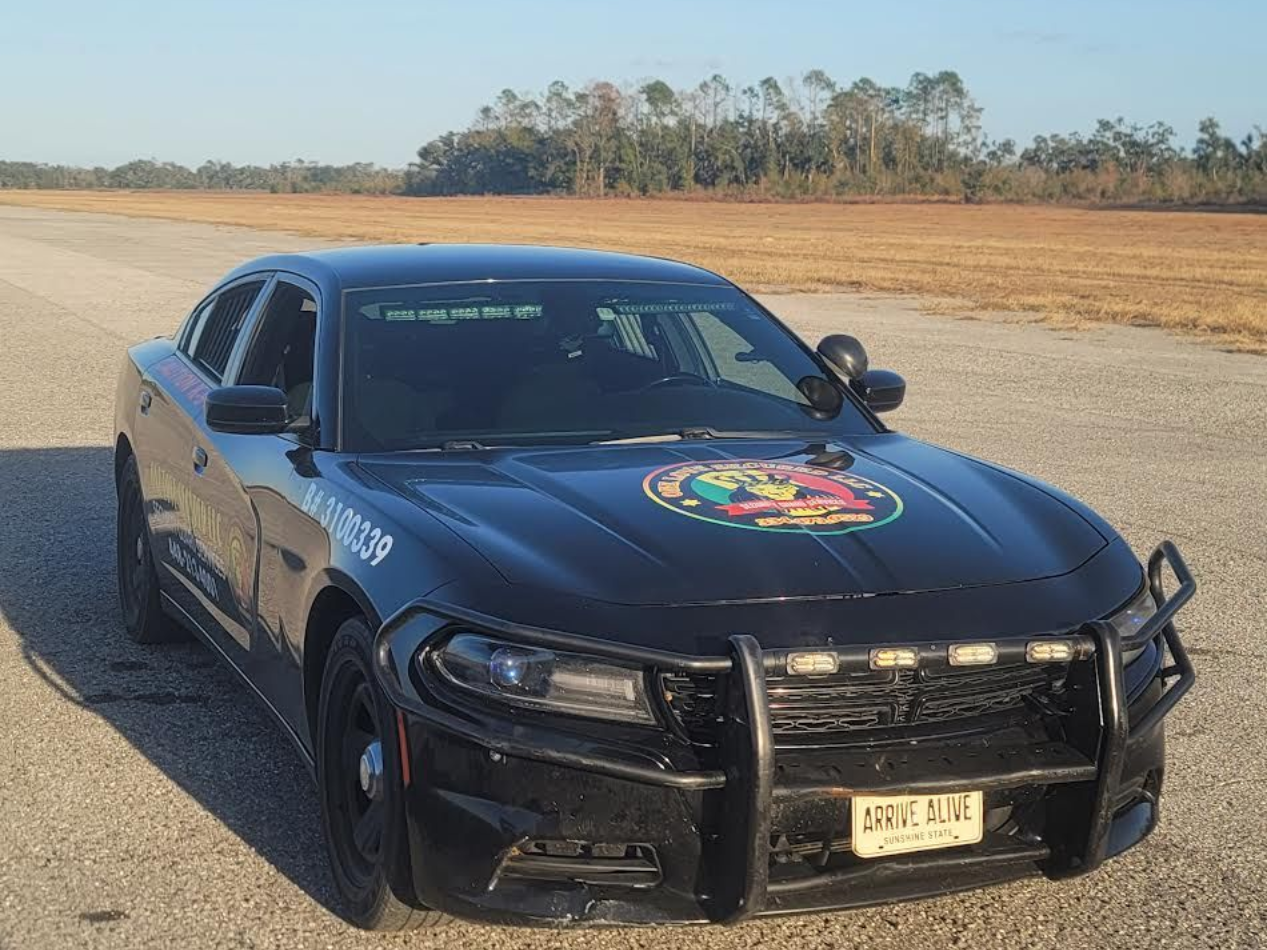Black police car parked on a road beside an open field, with a colorful hood emblem and push bumper.