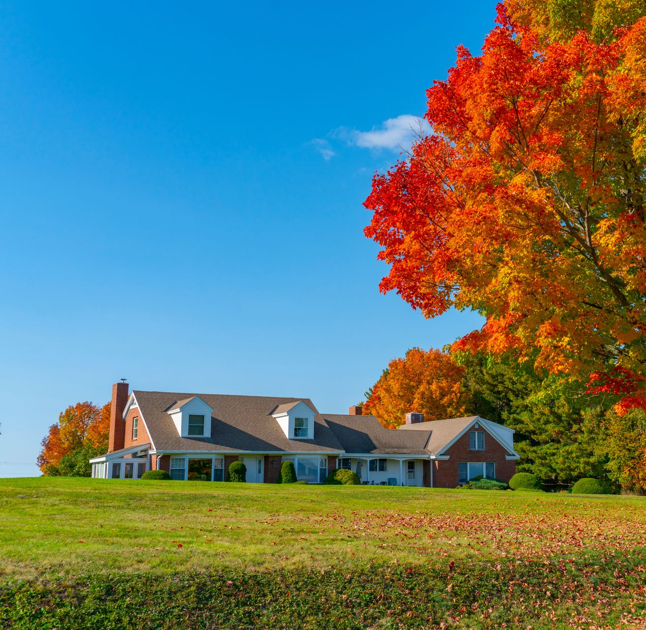 A blue house in spring. Stock photo representing potential estate planning client of bob leonard law group