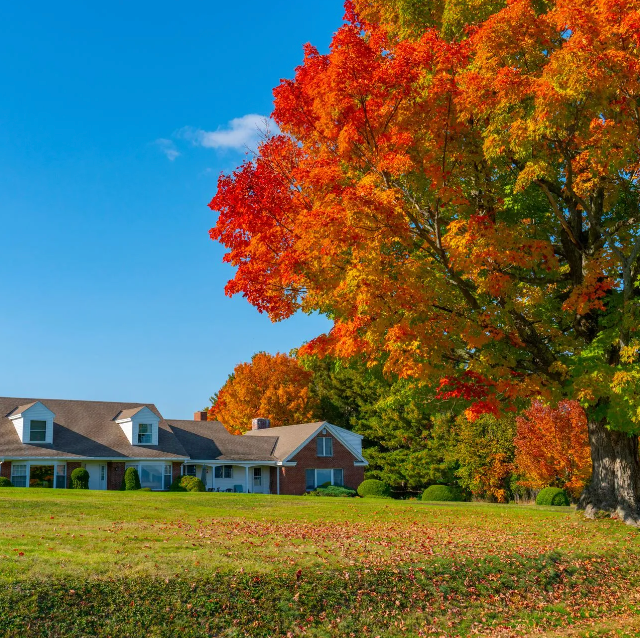 Property Division, bob leonard probate lawyer, divorce lawyer, divorce property division, home of client in fall