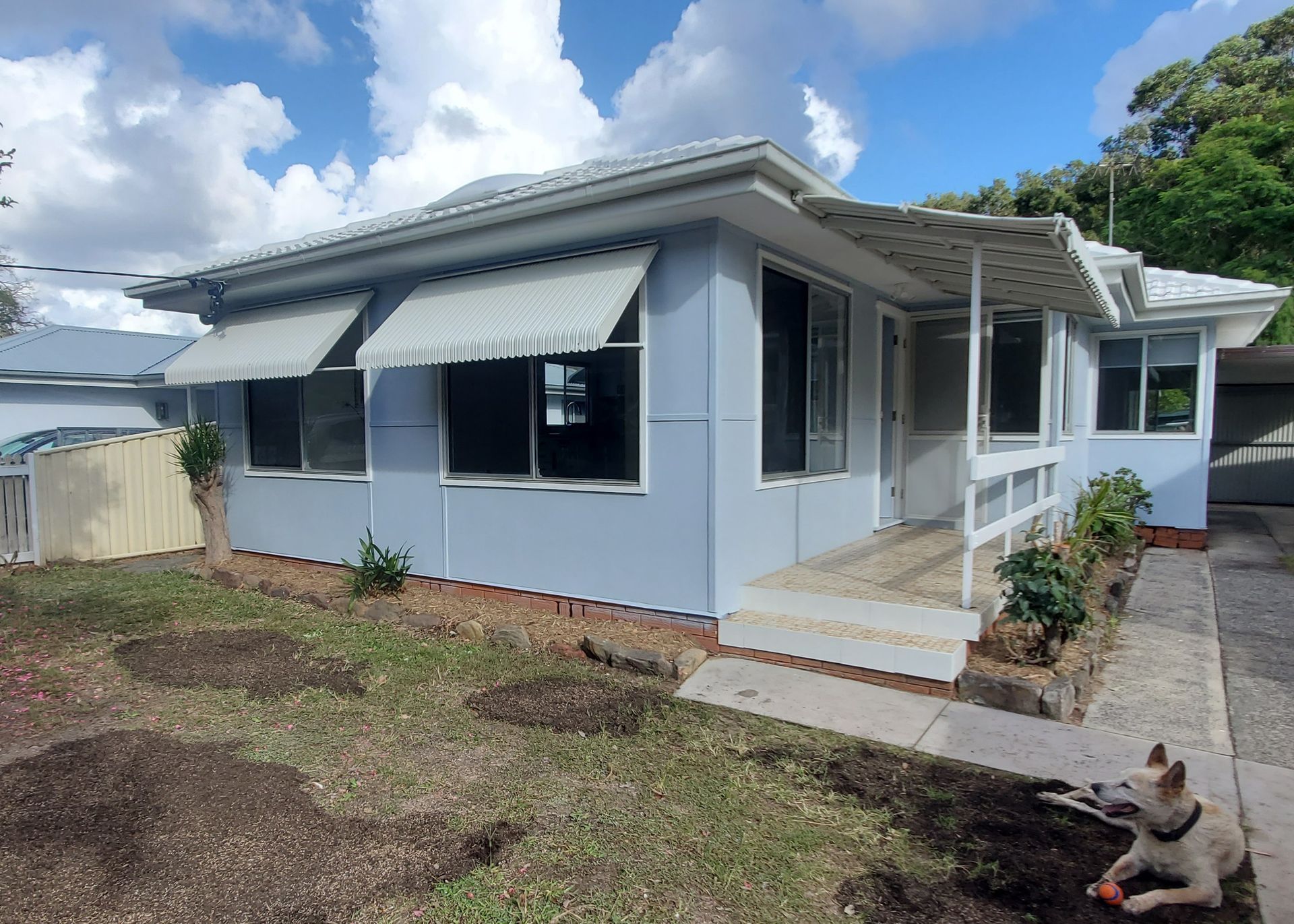 A Dog is Laying in the Dirt in Front of a House — JWP Painting & Property Services in Ettalong Beach, NSW