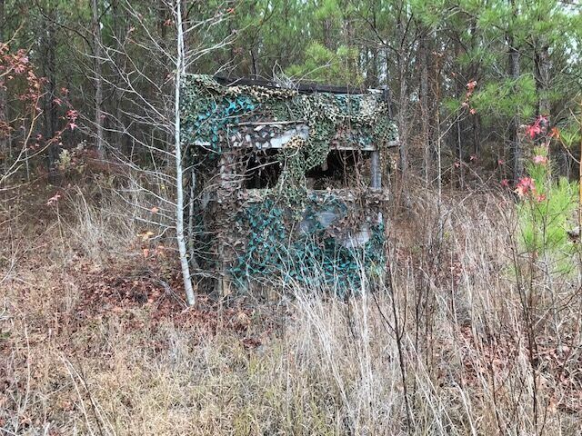 A weathered green hunting blind in dense woods and tall dry grass