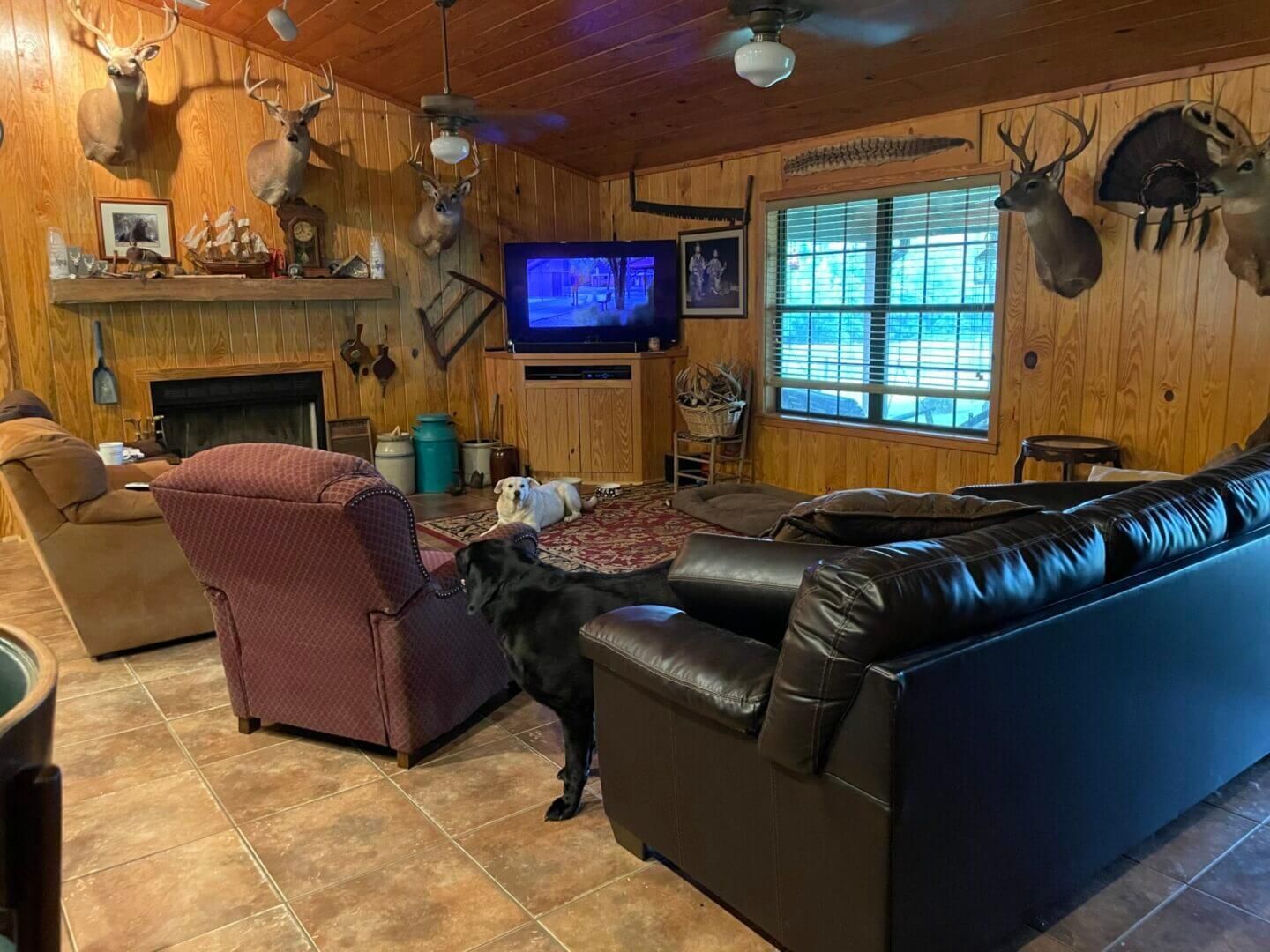 Wood-paneled living room with leather sofa, recliner, TV, fireplace, and a black dog on the floor.