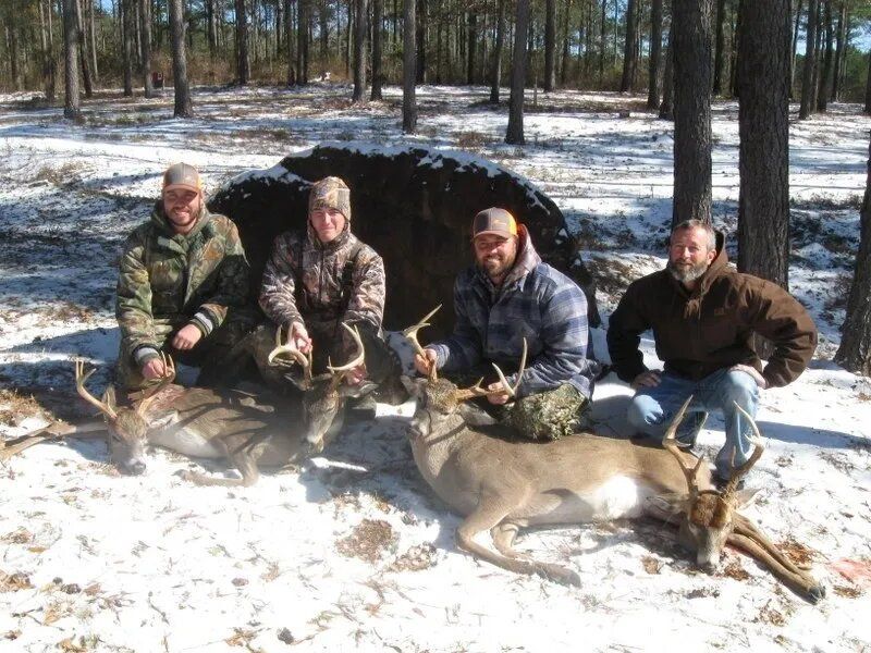 Four people kneel with deer carcasses in a snowy pine forest, holding hunting rifles.