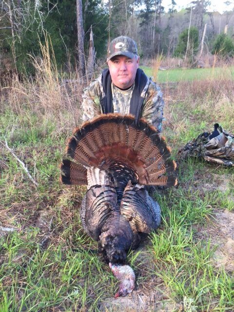 Hunter kneeling behind a large wild turkey in a grassy woodland clearing