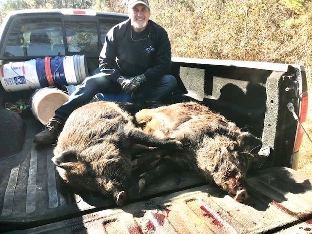 Hunter sitting in a pickup truck bed beside a large dead boar on the tailgate.