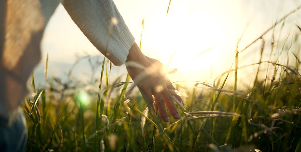 Eine Hand streift hohes Gras auf einem sonnenbeschienenen Feld in der goldenen Stunde