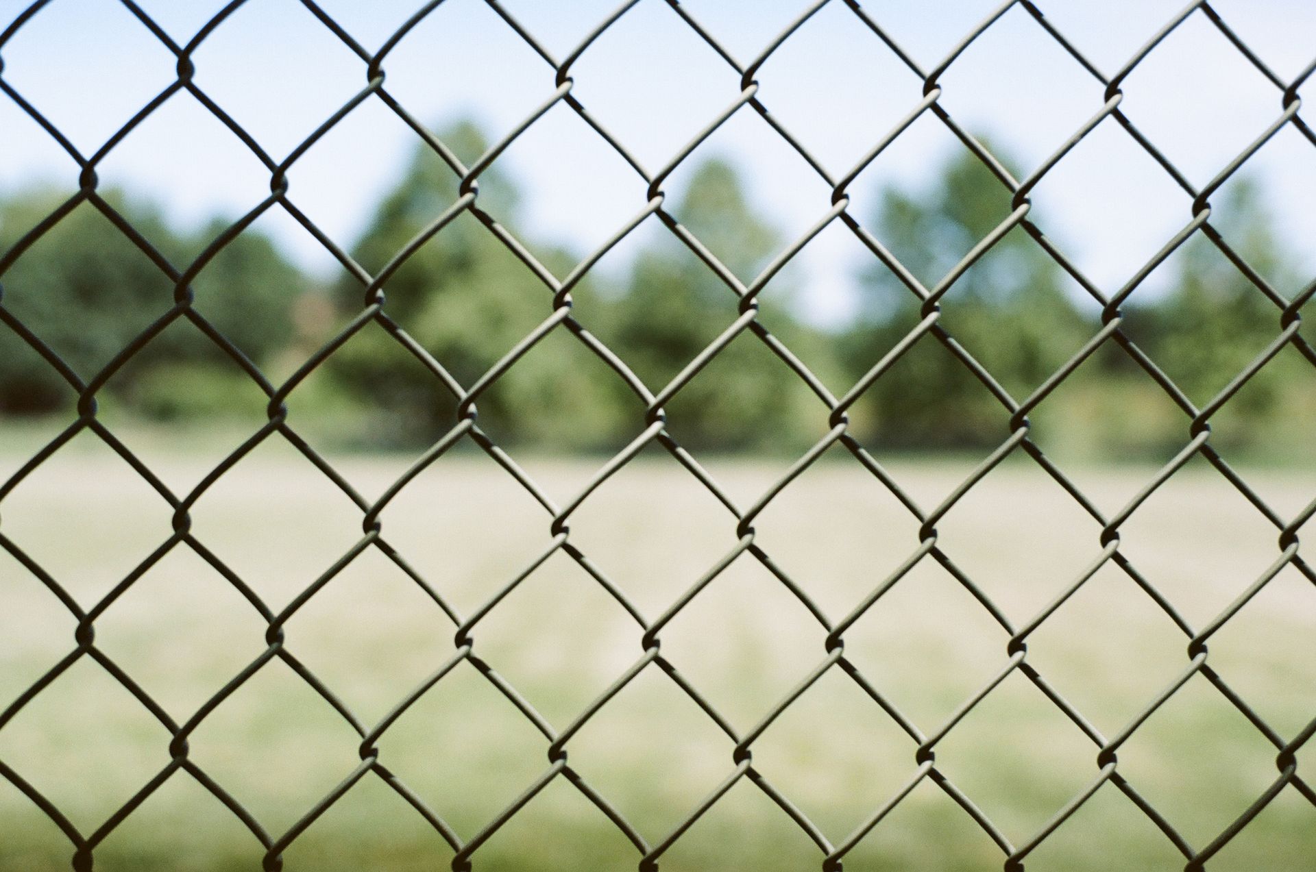 Chain-link fence, focusing on the diamond pattern. Green field and trees blurred in the background.