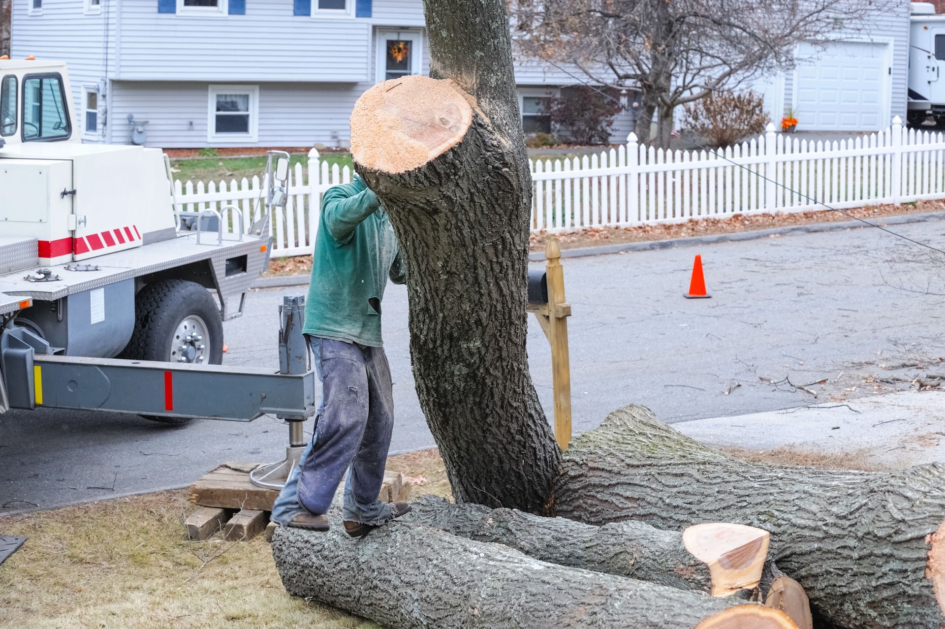 Professional tree removal service technician cutting a large trunk near a crane in a suburb.