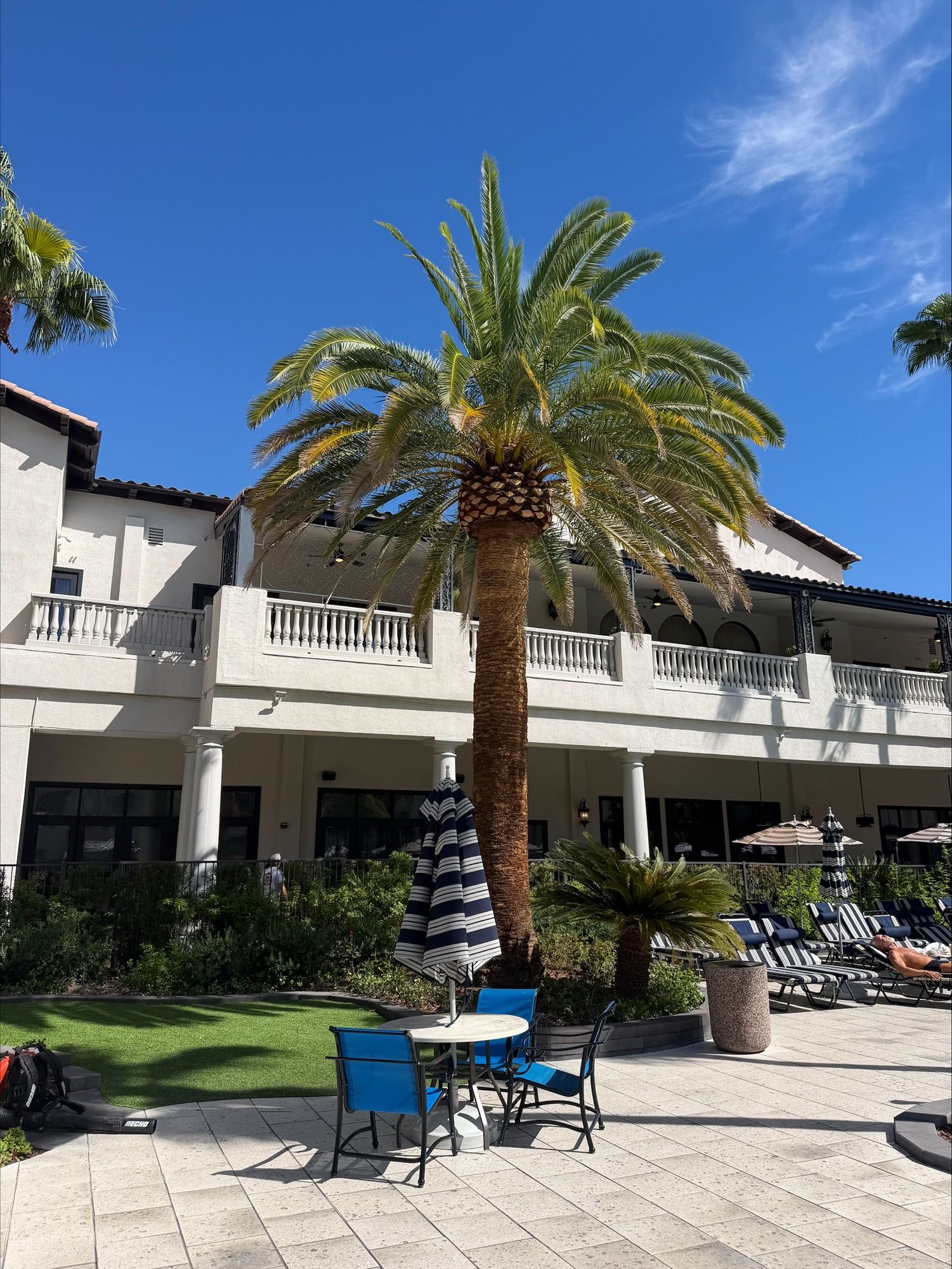 Courtyard with a tall palm tree, white building, blue sky, and outdoor chairs and tables