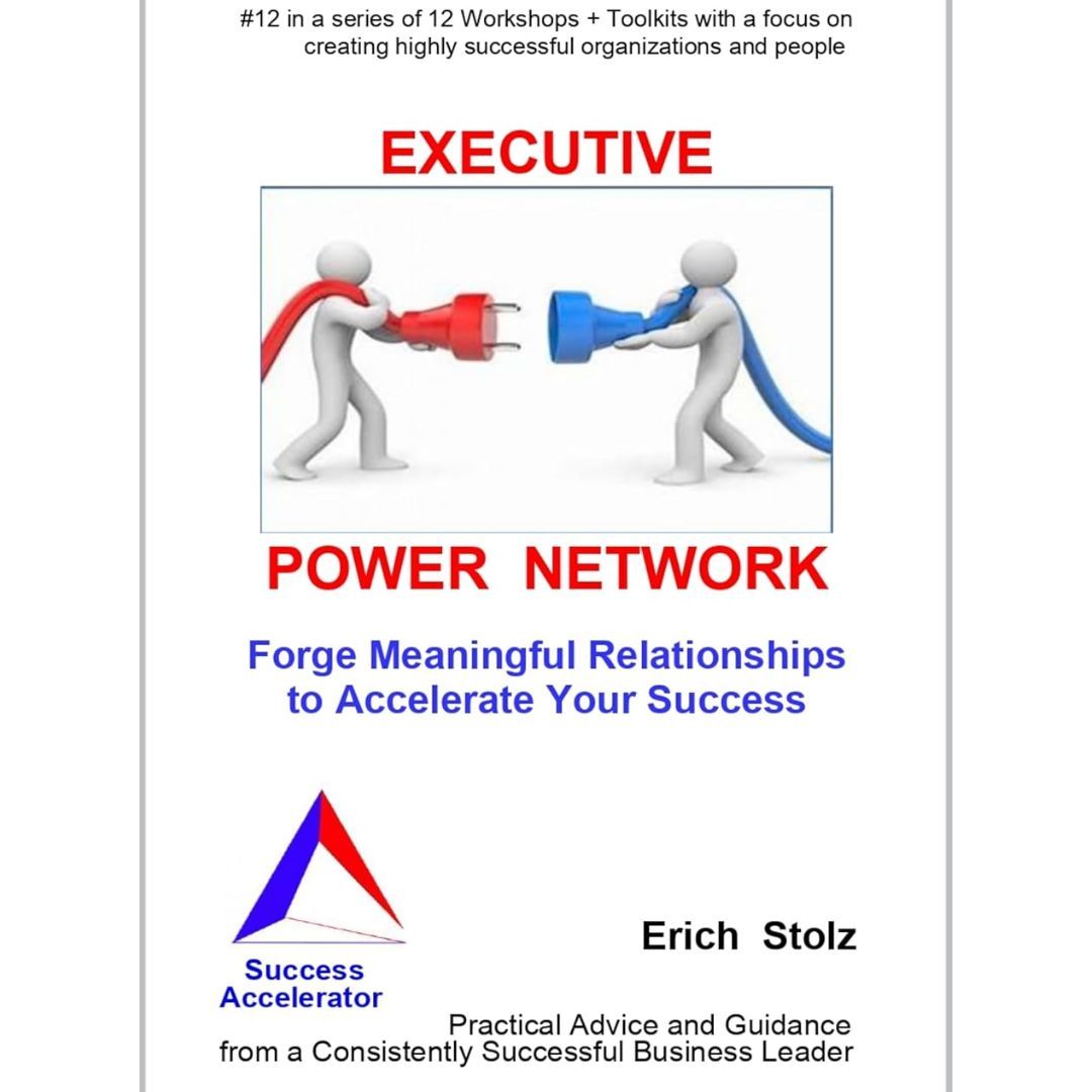 Book cover titled “Executive Power Network” with two figures connecting red and blue plugs.