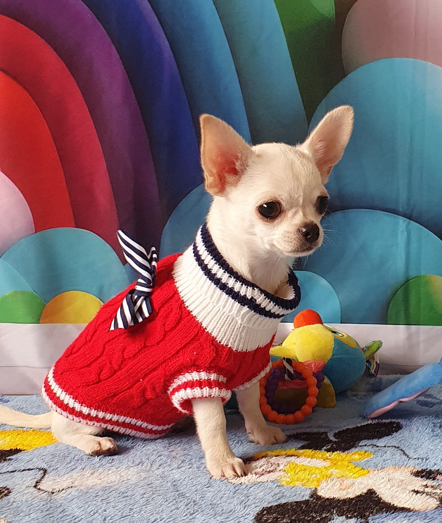 Perola´s Gucci