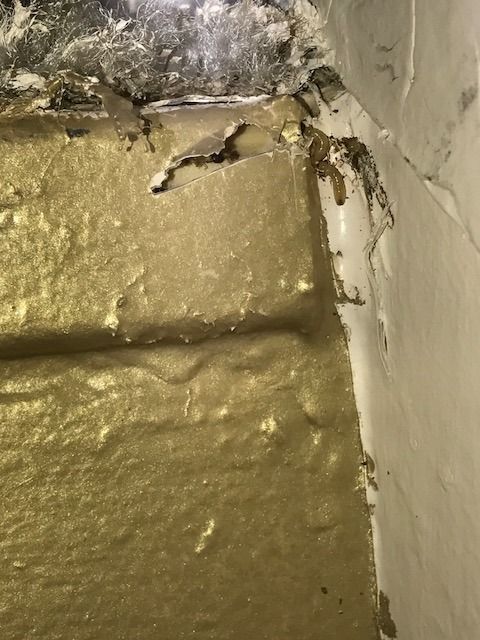 drywood termites pest control