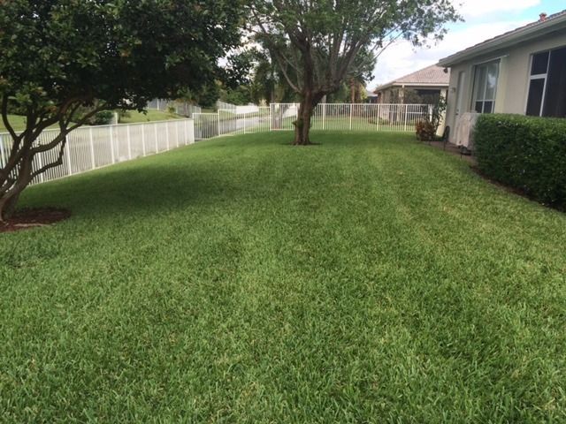 yard