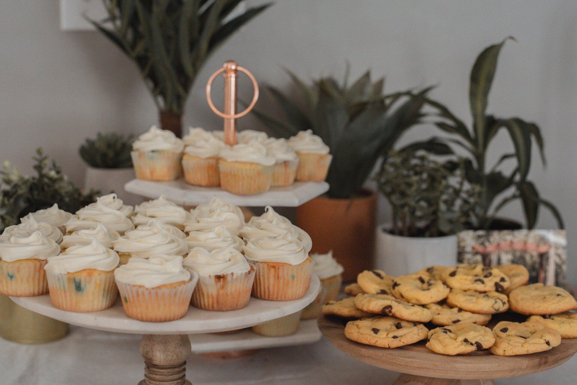 cupcakes and cookies on a table with plants in the background