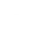 Light Logo
