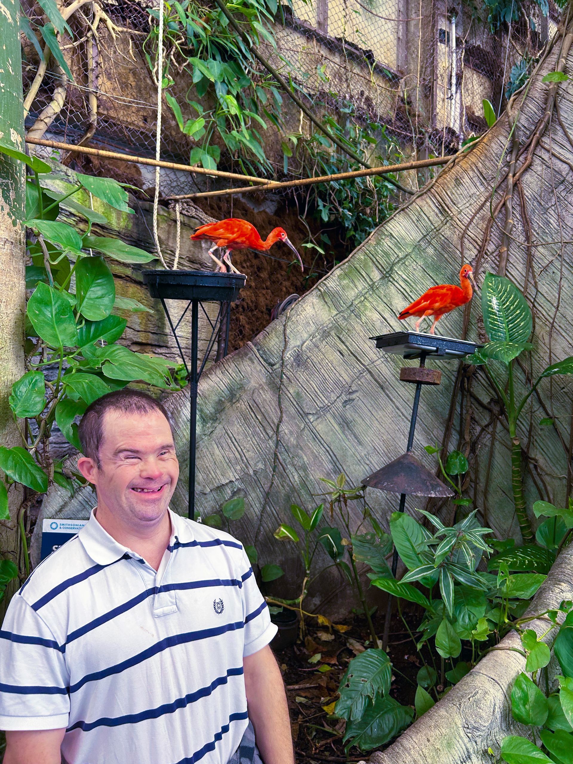 Rhett at the Zoo in D.C. (2026)