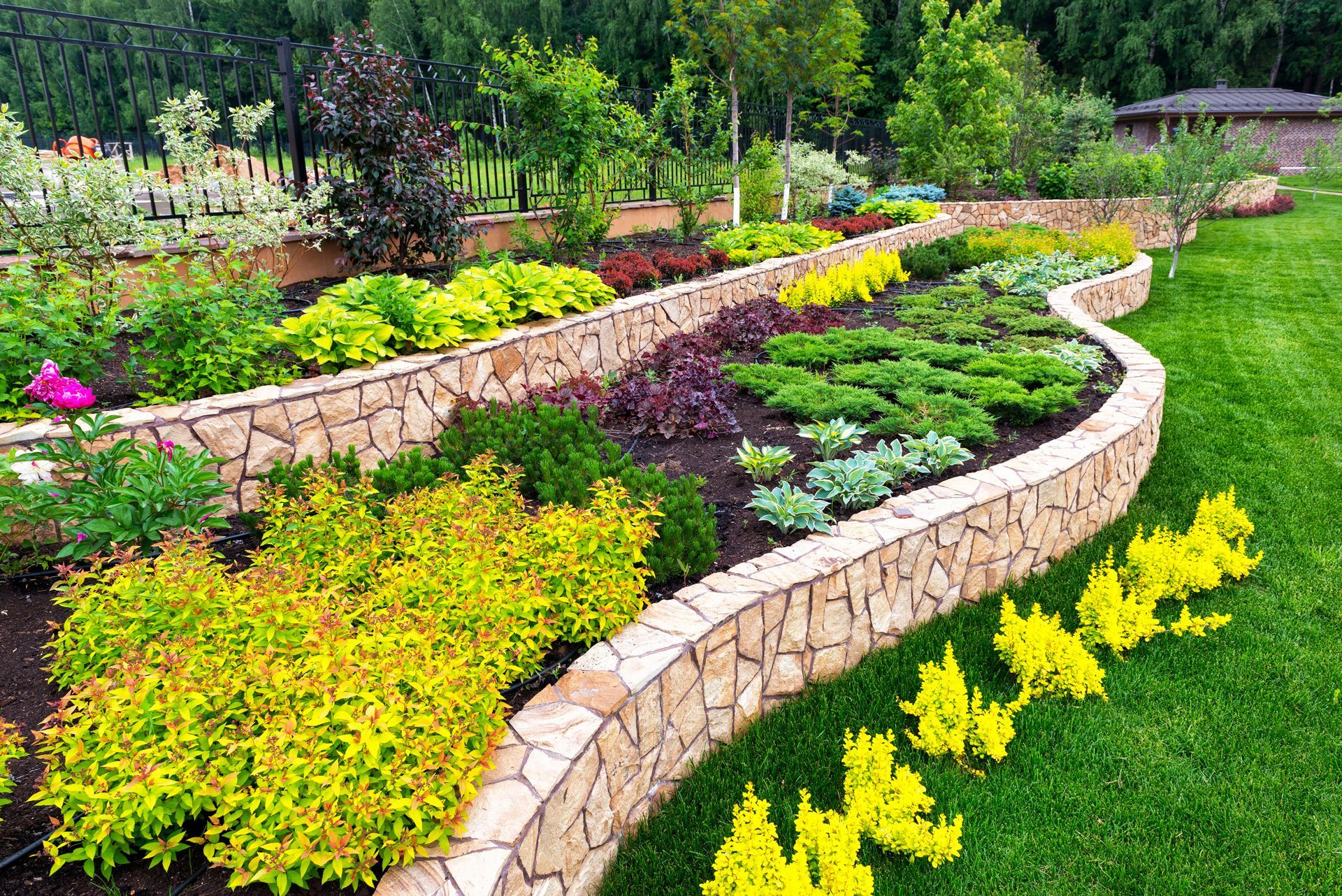 A garden with a stone wall and lots of plants and flowers.
